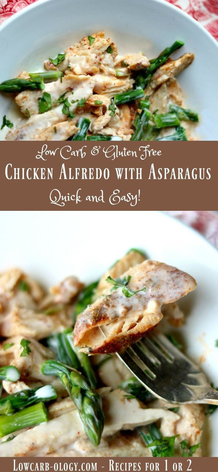 Quick And Easy Low Carb Recipes
 Quick and easy low carb chicken Alfredo recipe is gluten