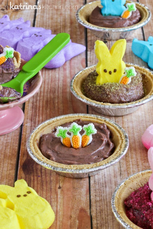 Quick Easter Desserts
 Peeps Pudding S mores Pies Recipe