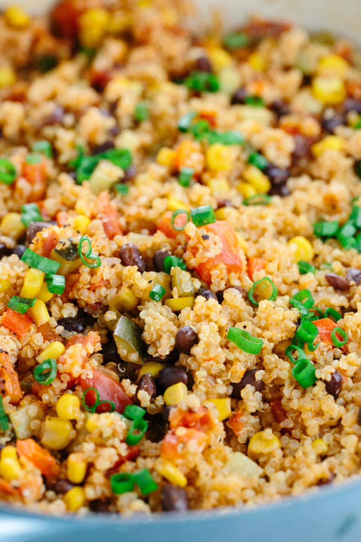 Quinoa Recipe Vegetarian
 e Pot Mexican Spiced Ve able Quinoa Jessica Gavin