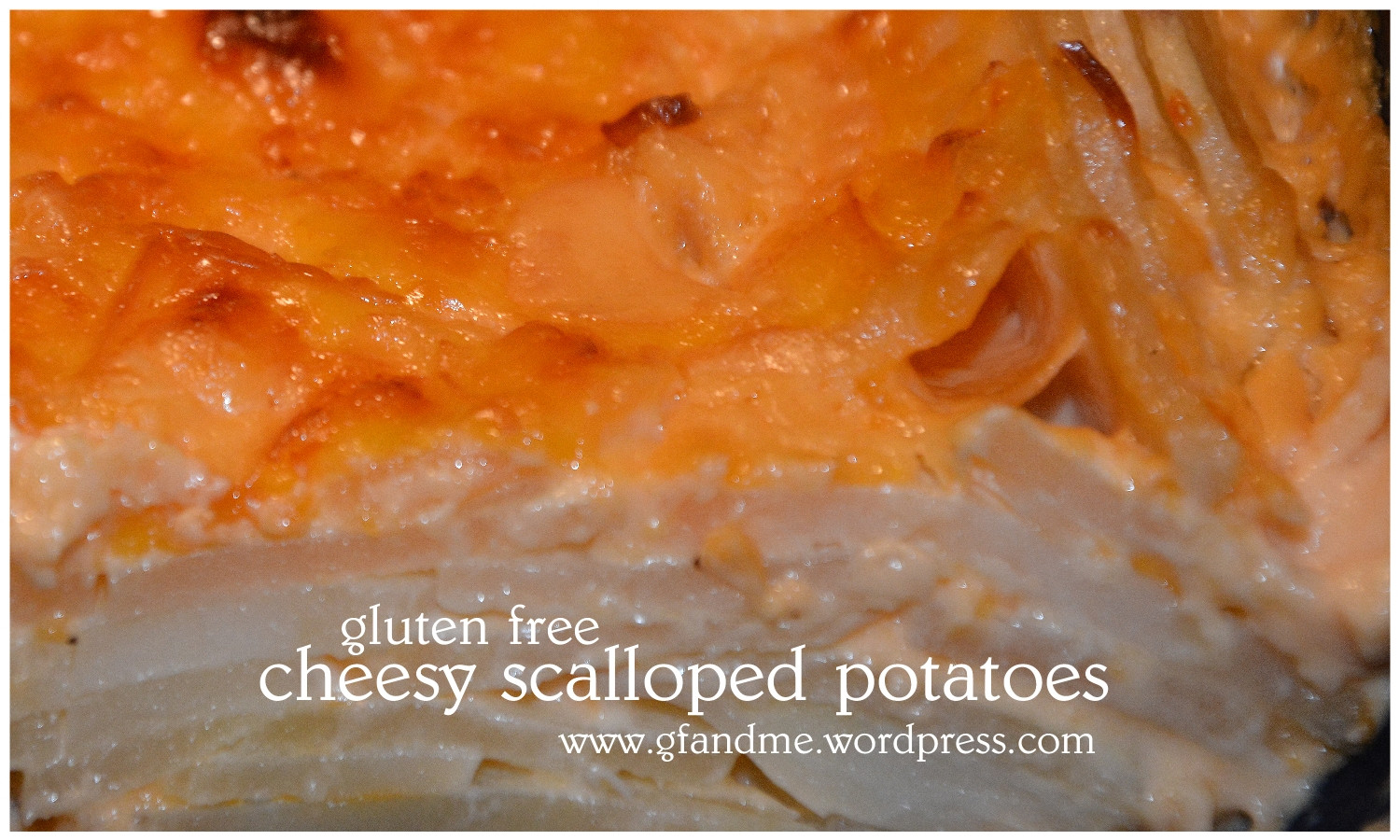 Scalloped Potatoes Gluten Free
 Best Au Gratin Scalloped Potatoes – and they’re gluten