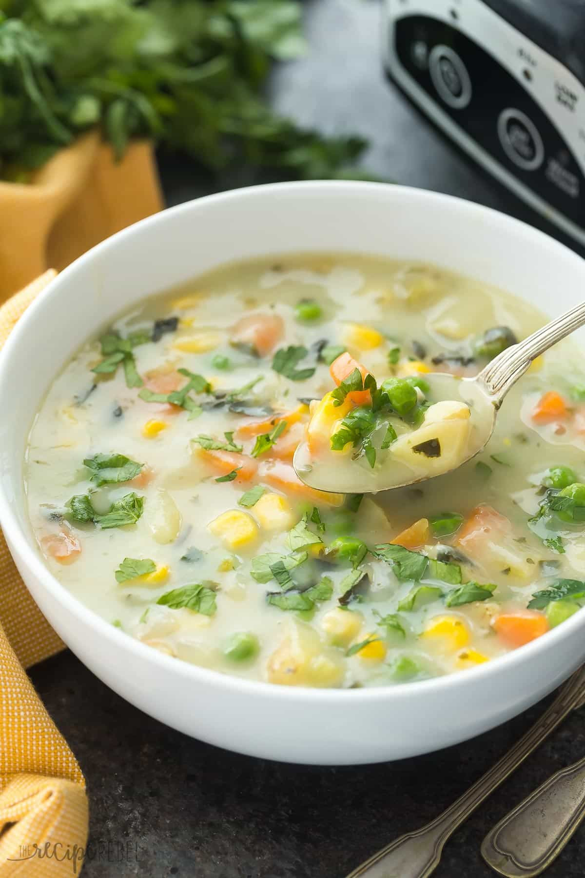 Slow Cooker Vegetable Soup Recipes Healthy
 Slow Cooker Creamy Ve able Soup with RECIPE VIDEO