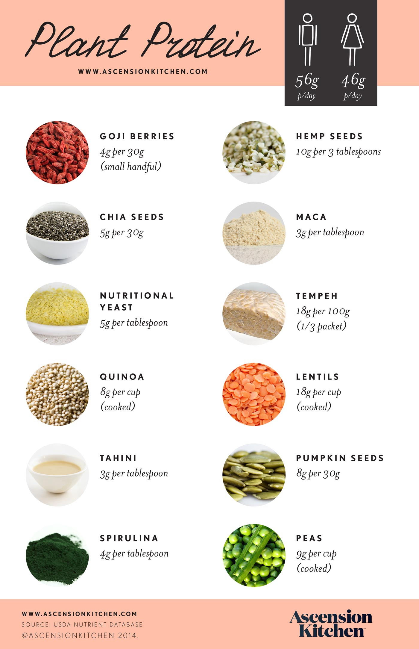 Sources Of Protein In Vegetarian Diet
 Less meat more plant based protein may prolong your life
