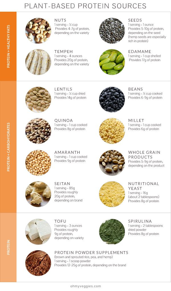 Sources Of Protein In Vegetarian Diet
 What a High Protein Diet Can and Can t Do For You