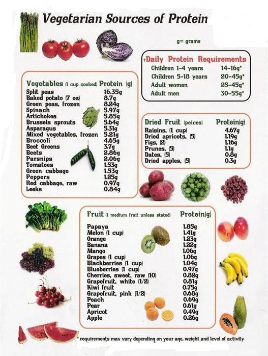 Sources Of Protein In Vegetarian Diet
 Diet