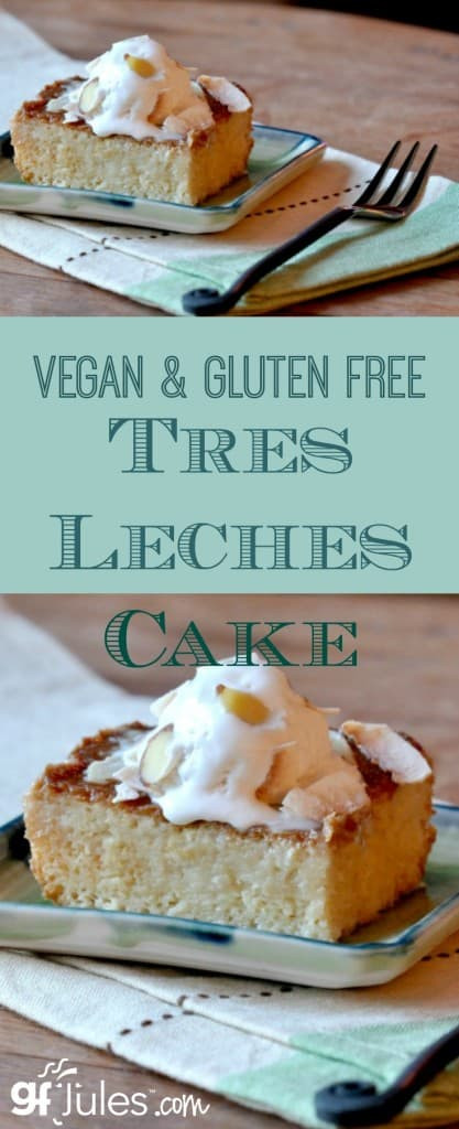 Soy And Dairy Free Recipes
 Gluten Free Vegan Tres Leches Cake Recipe Gluten free