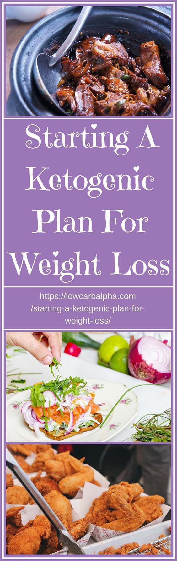 Starting Keto Diet
 300 best Ketogenic Diet images on Pinterest