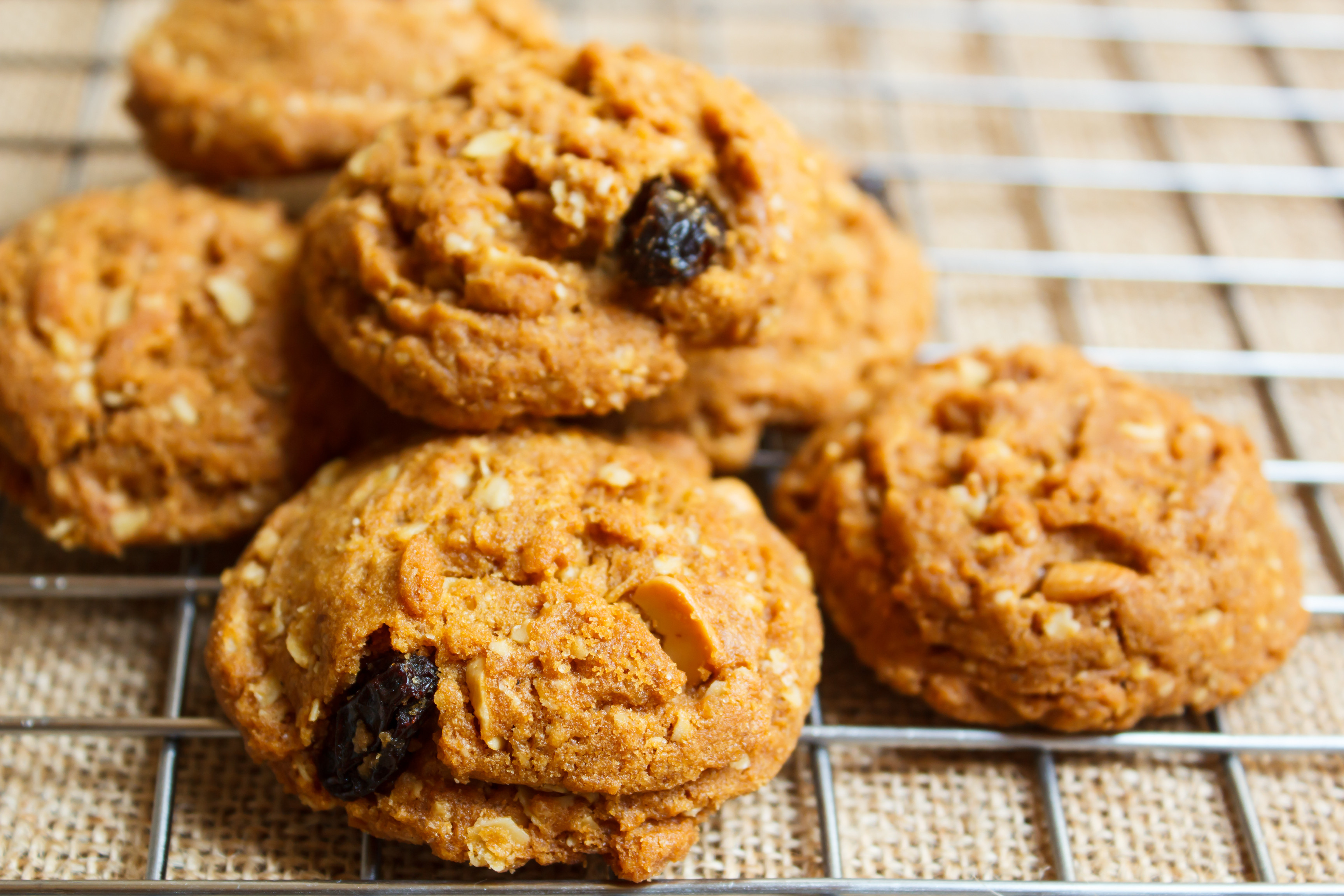 The Best Sugar Free Oatmeal Cookies for Diabetics - Best ...