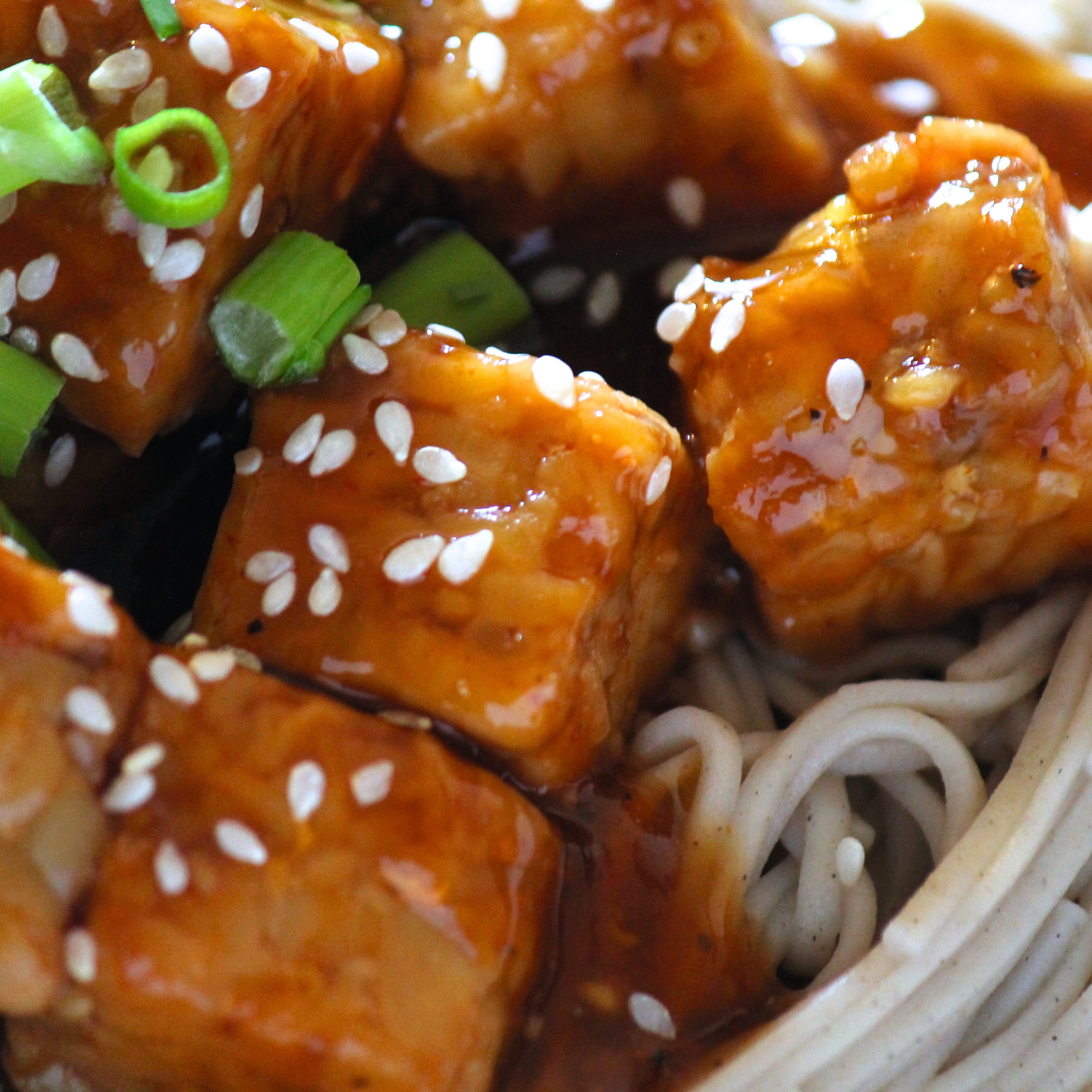 Tempeh Recipes Vegan
 Vegan Asian Orange Tempeh