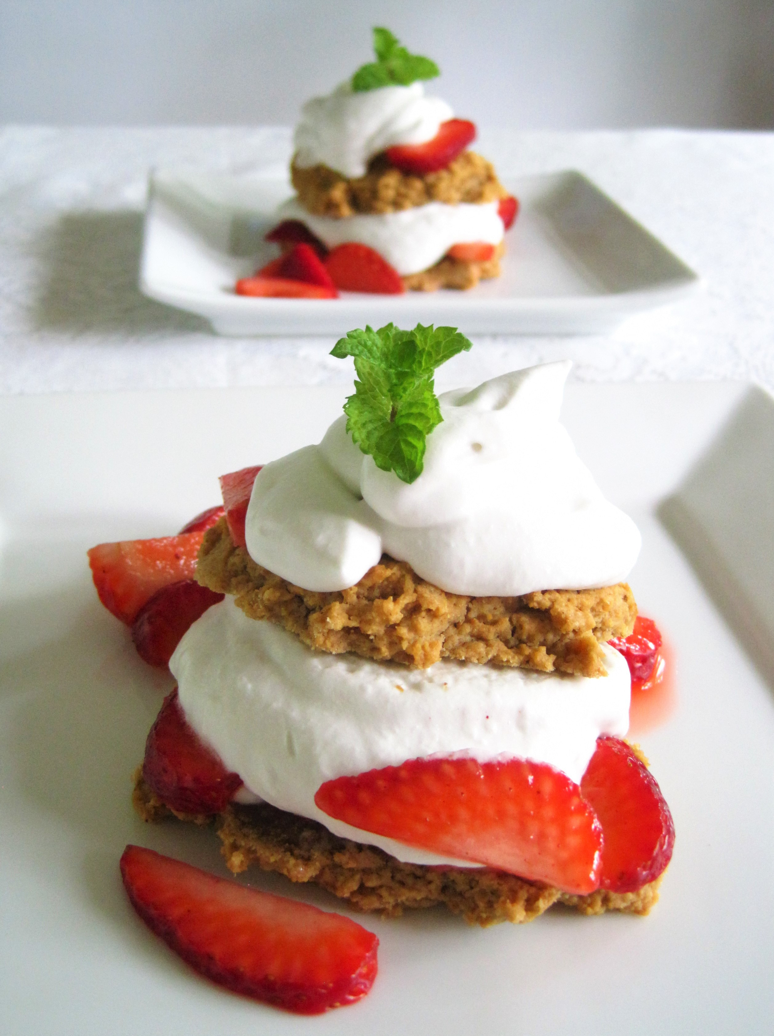 Vegan Aip Recipes
 Strawberry Shortcake paleo AIP vegan Flash Fiction