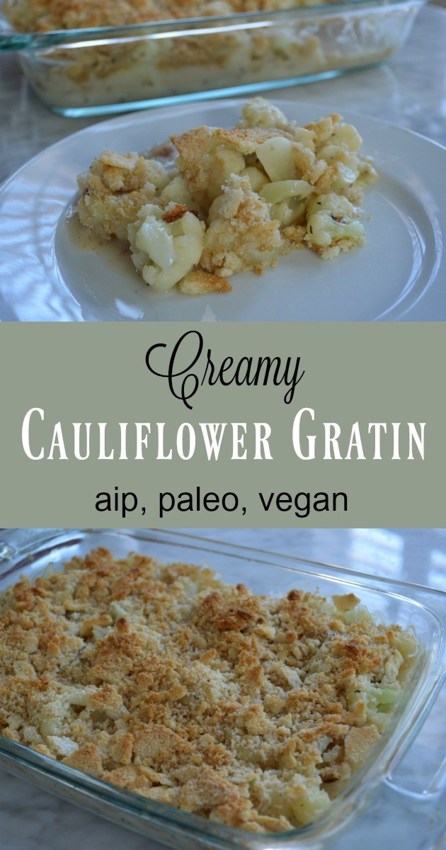 Vegan Aip Recipes
 Creamy Cauliflower Gratin AIP Paleo Vegan