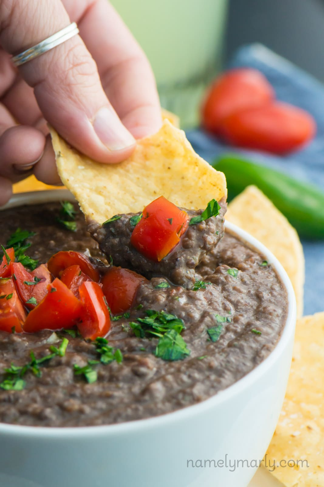 Vegan Bean Dip Recipes
 Fresh and Easy Black Bean Dip Recipe Namely Marly