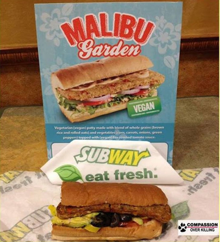 Vegan Bread Subway
 Woot Subway is Testing An All Vegan Malibu Sub e