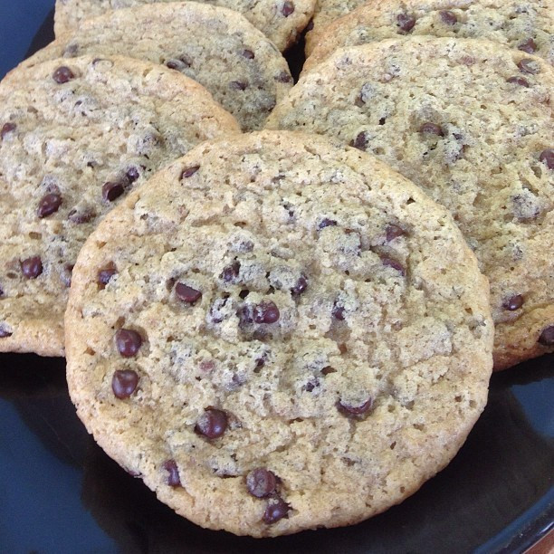 Vegan Chewy Chocolate Chip Cookies
 Chewy Vegan Chocolate Chip Cookie Recipe from Dough