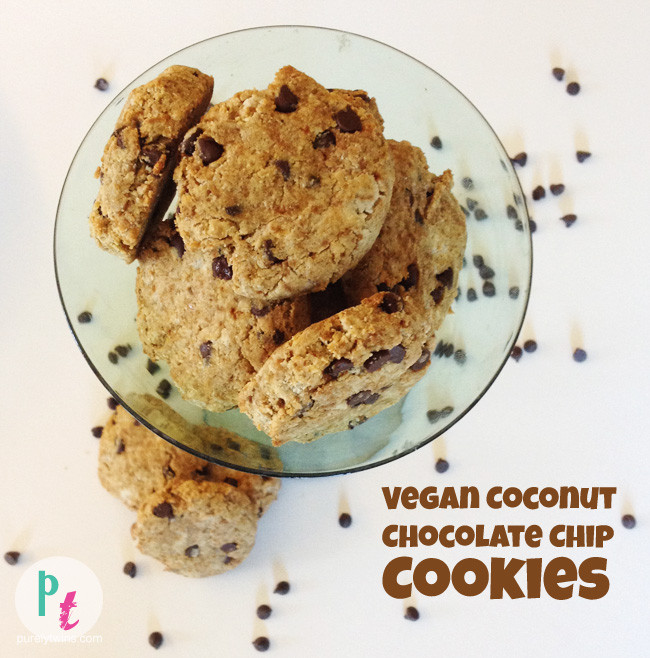 Vegan Coconut Flour Recipes
 vegan coconut flour cake recipes