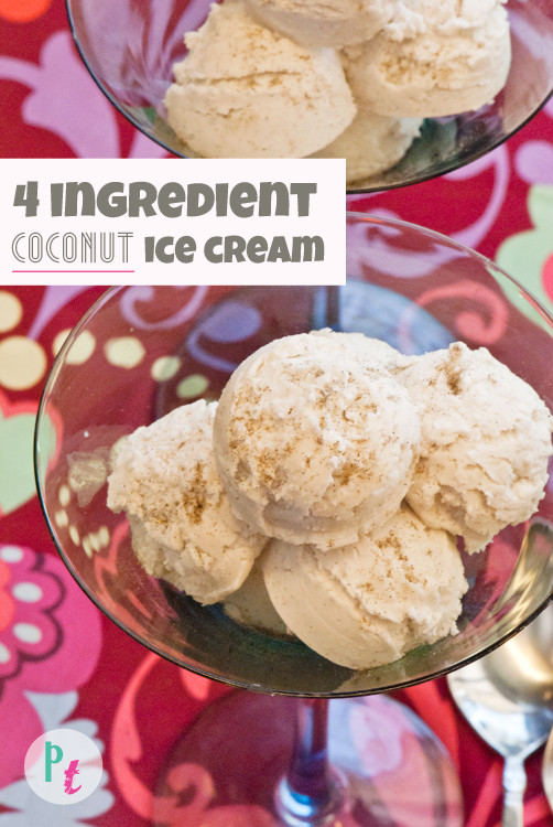 Vegan Coconut Milk Ice Cream Recipes
 4 ingre nt dairy free coconut ice cream vegan nut free