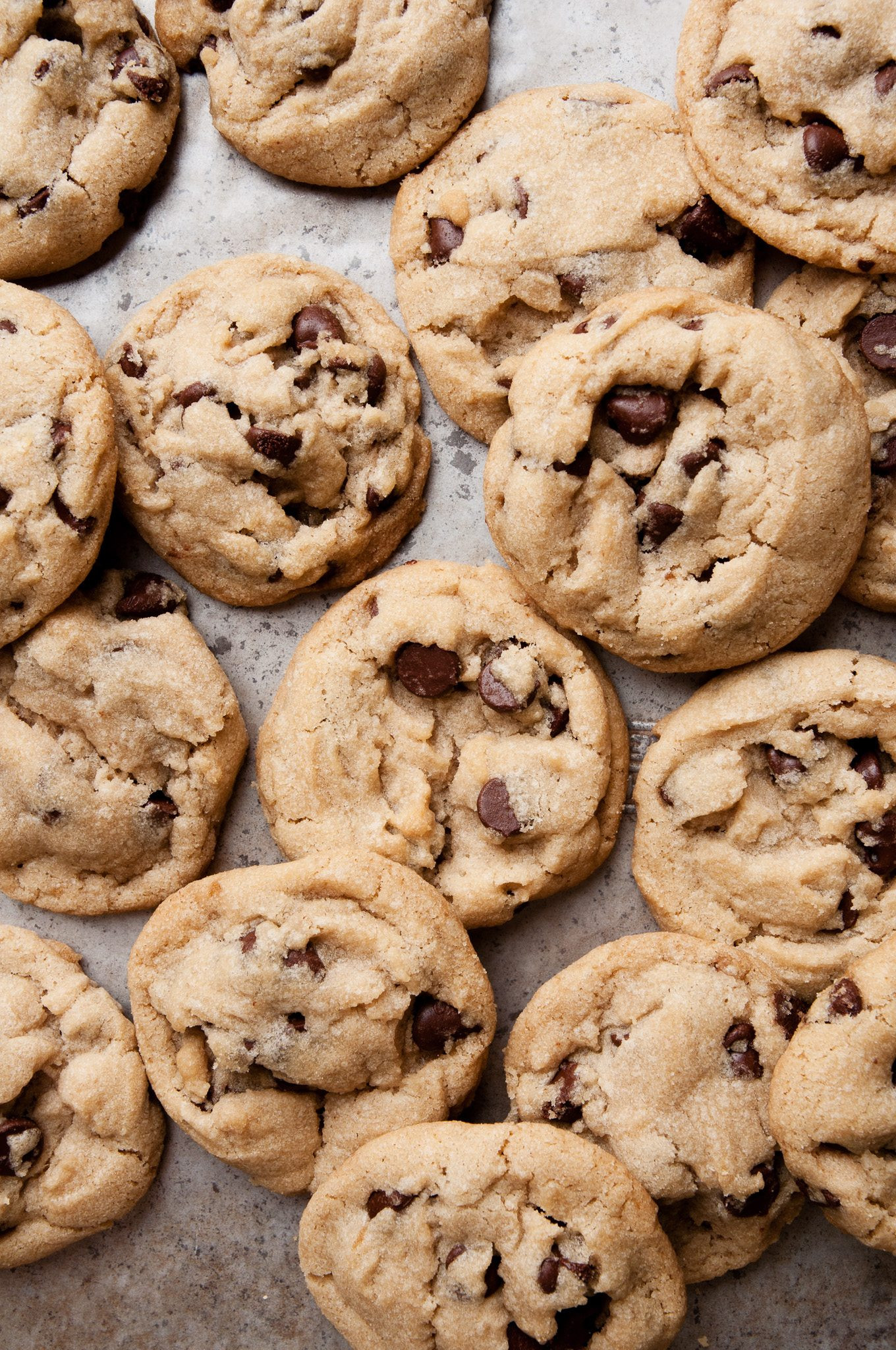 Vegan Cookie Recipes
 15 of the Best Chocolate Chip Cookie Recipes The