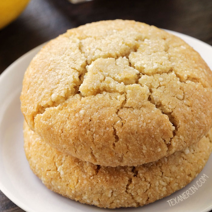 Vegan Cookie Recipes
 Paleo Lemon Cookies vegan grain free gluten free dairy