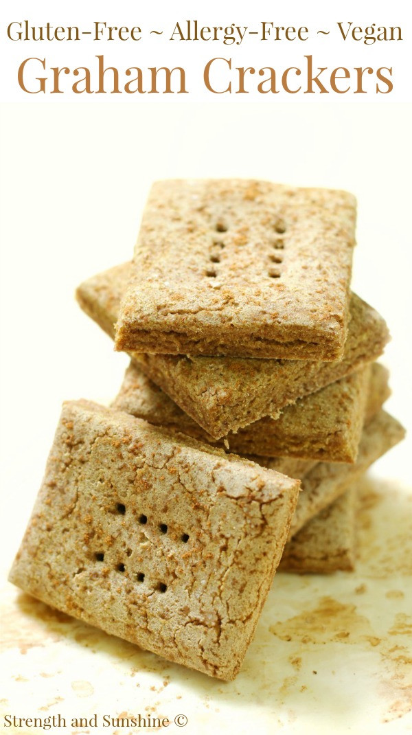 Vegan Cracker Recipes
 Homemade Gluten Free Graham Crackers Allergy Free Vegan