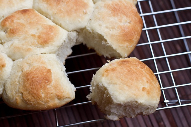 Vegan Dinner Rolls
 Vegan Fluffy White Dinner Rolls — Oh She Glows