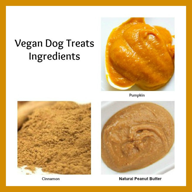 Vegan Dog Treat Recipes
 Frosting Fran Vegan Dog Treats Recipe