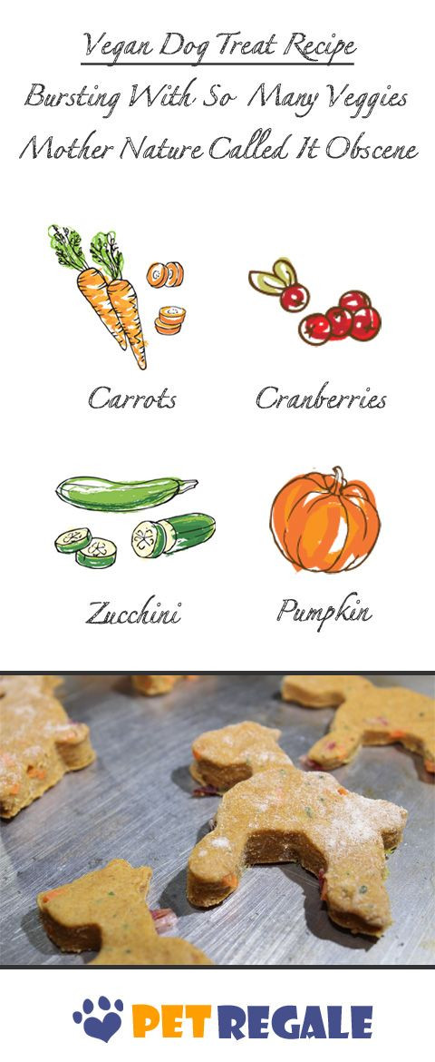 Vegan Dog Treat Recipes
 Vegan Dog Treat Recipe Bursting with so many veggies