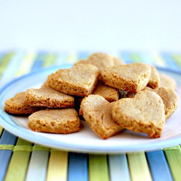 Vegan Dog Treat Recipes
 7 Homemade Vegan Dog Treats Vegan Food Lover