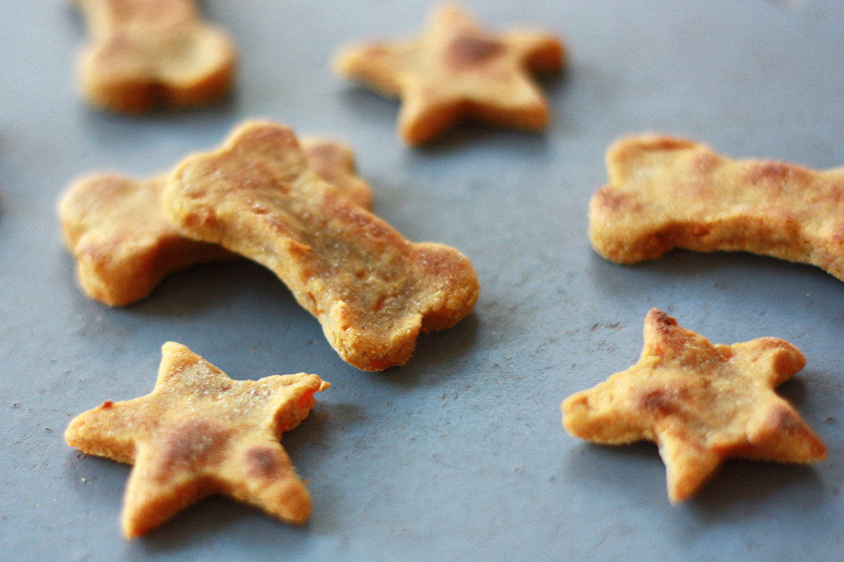 Vegan Dog Treat Recipes
 5 Easy Dog Treat Recipes to Make for the Holidays