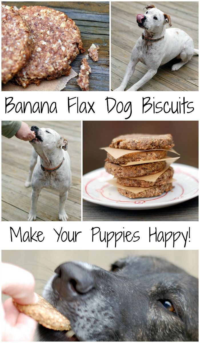 Vegan Dog Treat Recipes
 Best 25 Vegan dog food ideas on Pinterest