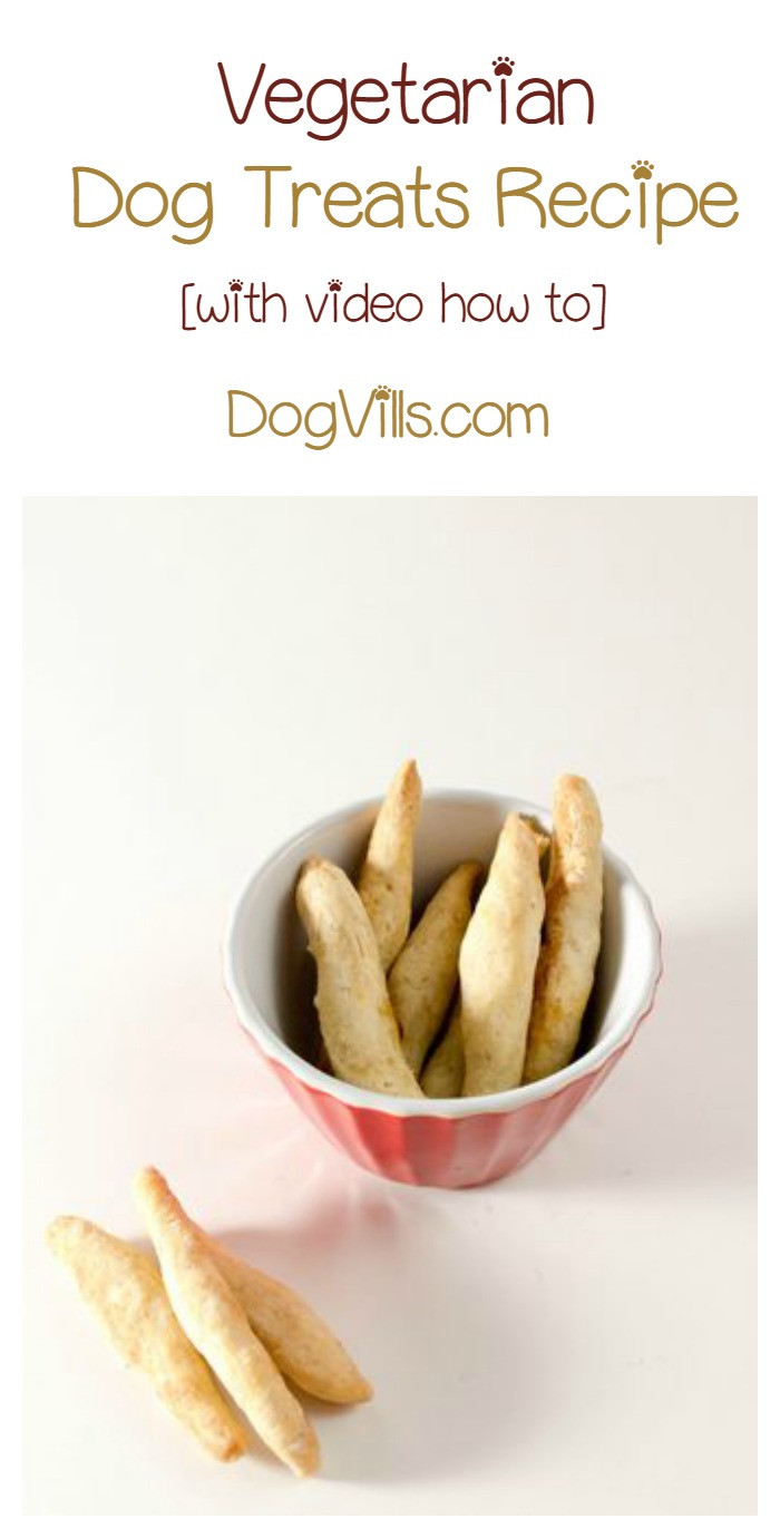Vegan Dog Treat Recipes
 Easy & Tasty Ve arian Dog Treats Recipe DogVills