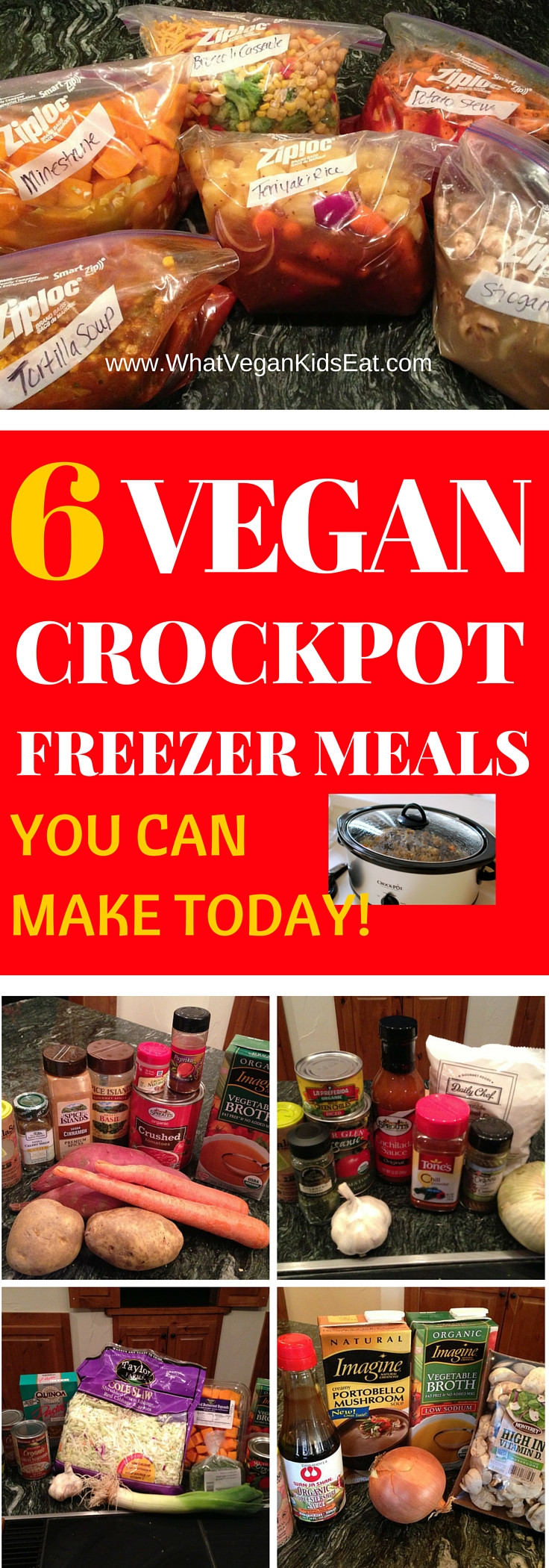 Vegan Freezer Recipes
 VEGAN CrockPot FREEZER Meals to make today What Vegan