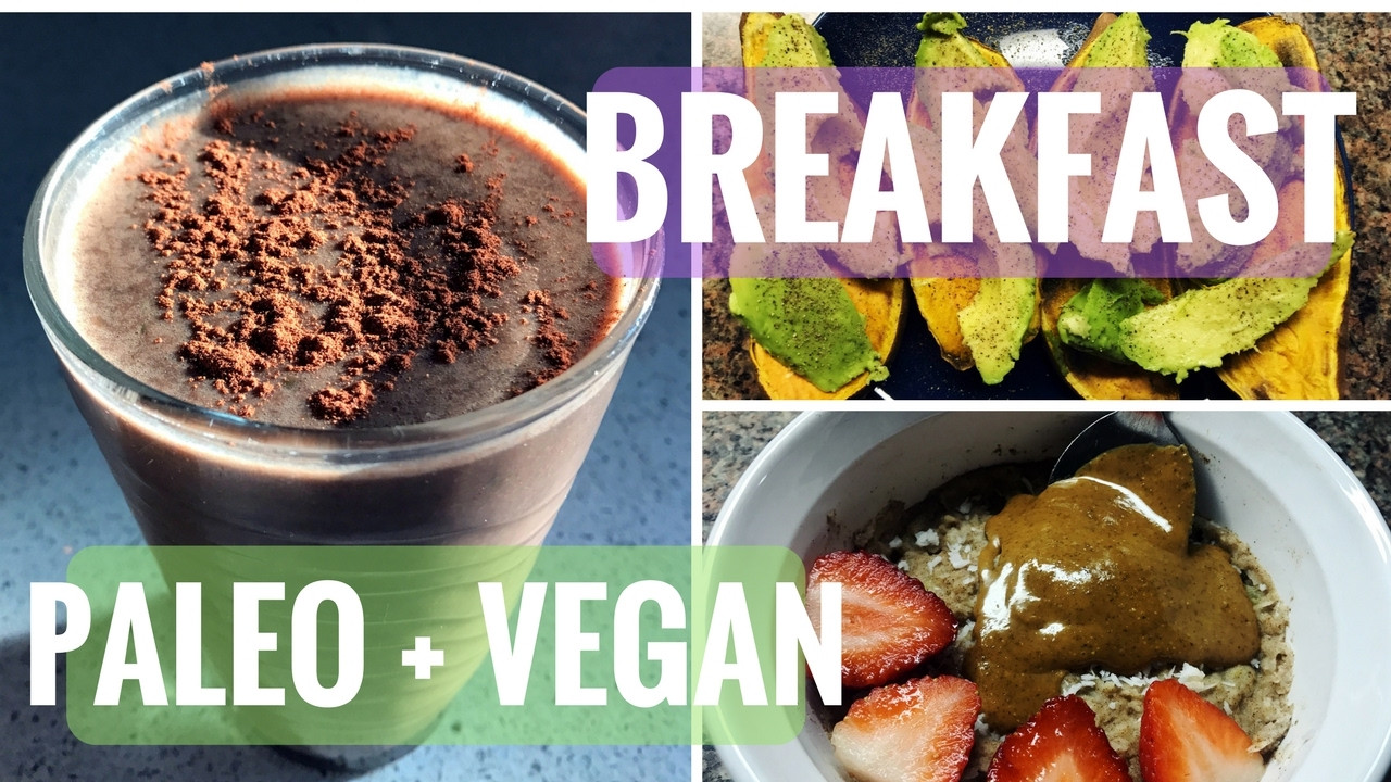 Vegan Paleo Breakfast Recipes
 HEALTHY VEGAN & PALEO BREAKFAST IDEAS Paleo Oatmeal