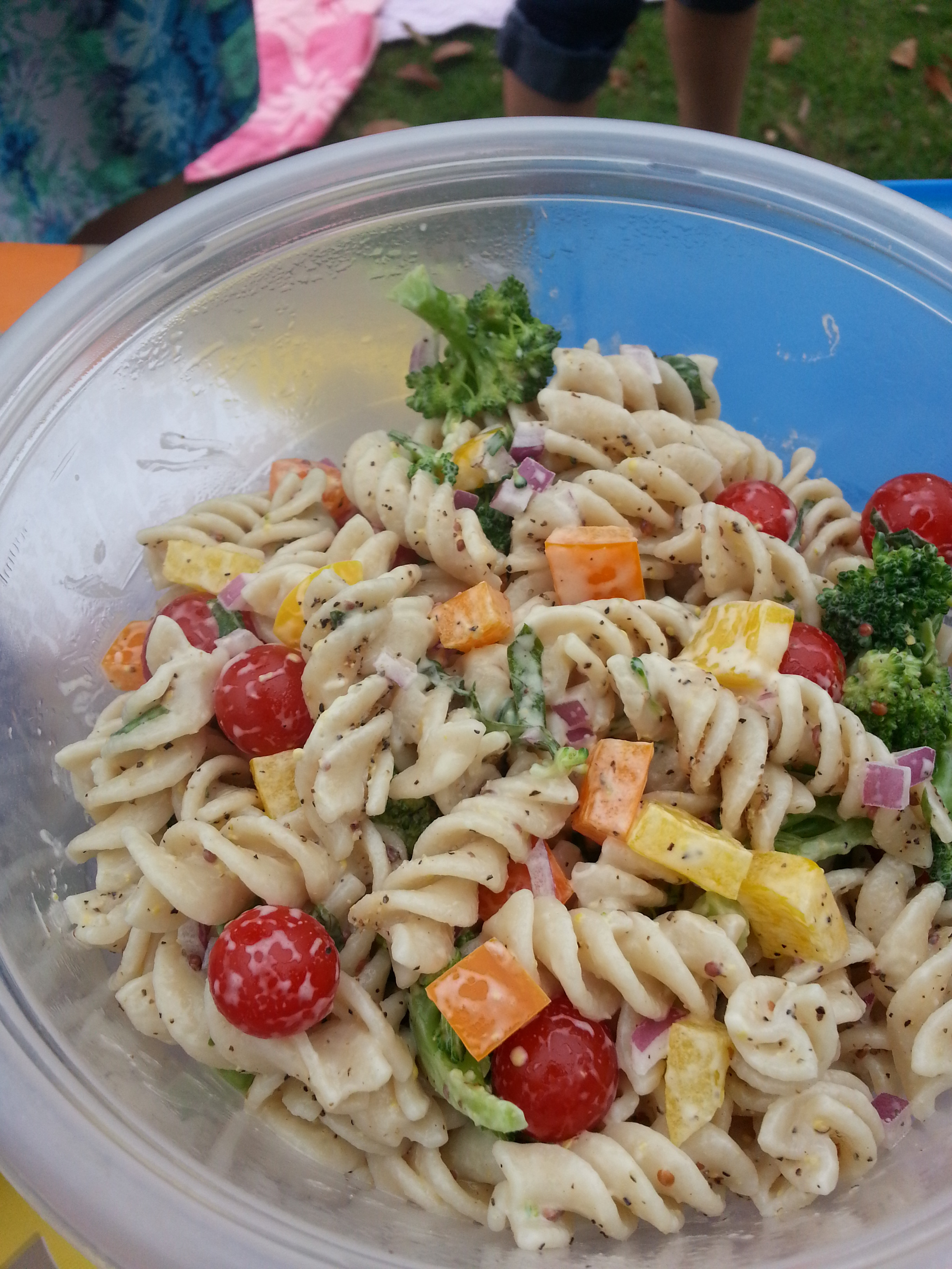 Vegan Pasta Salad Recipes
 Vegan Recipes from a Picnic in the Park