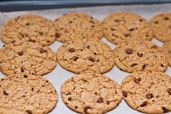 Vegan Peanut Butter Cookies Oh She Glows
 Salt Kissed Chunky Peanut Butter Vegan Chocolate Chip