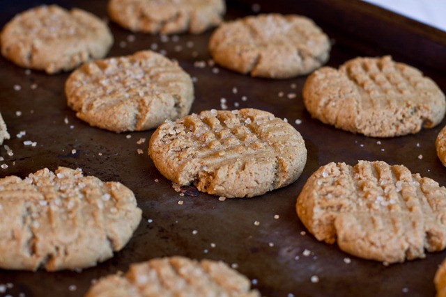 Vegan Peanut Butter Cookies Oh She Glows
 vegan peanut butter cookies oh she glows