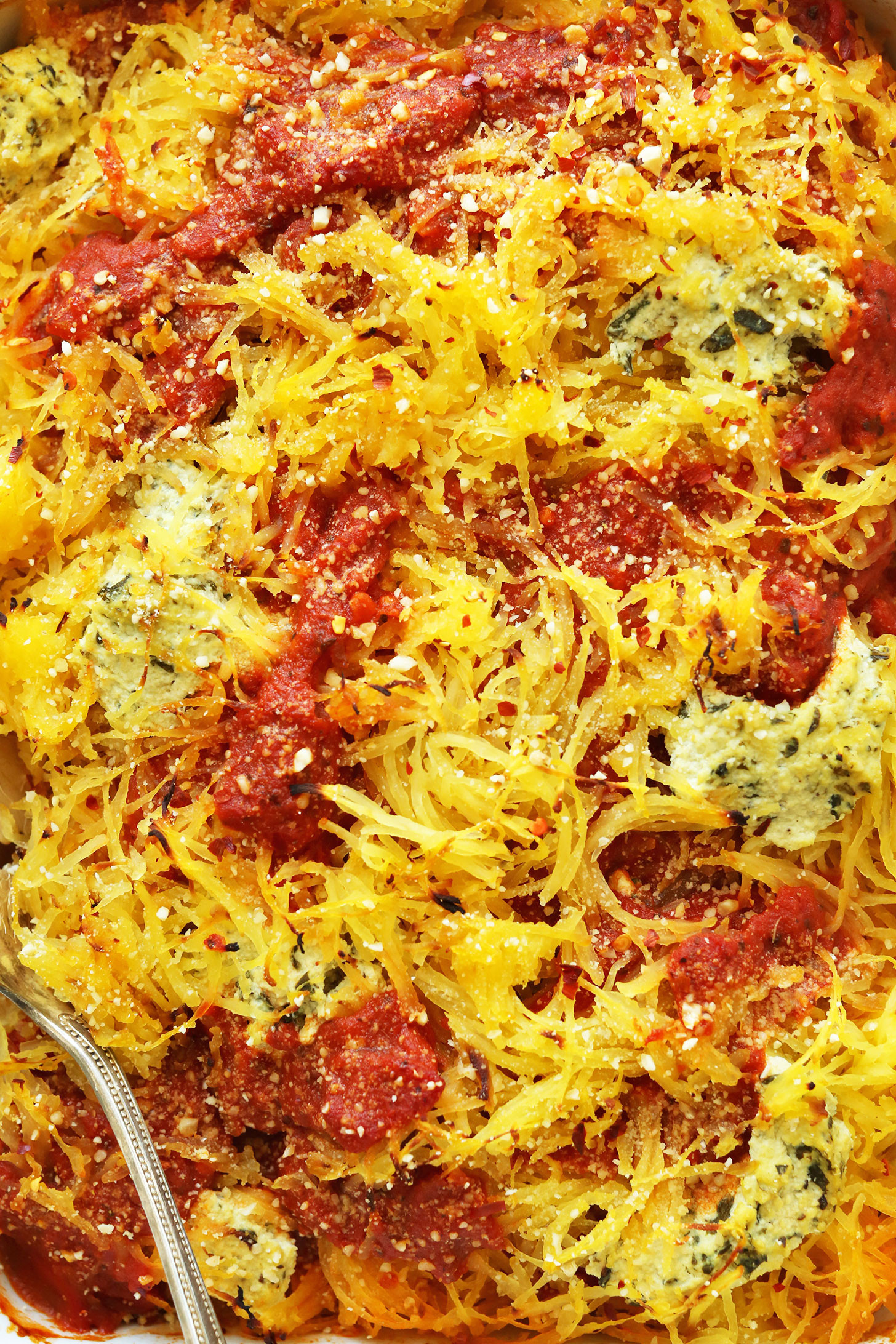Vegan Spaghetti Squash Recipes
 Spaghetti Squash Lasagna