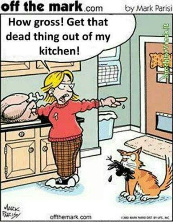 Vegan Thanksgiving Funny
 carnist logic vegan Pinterest