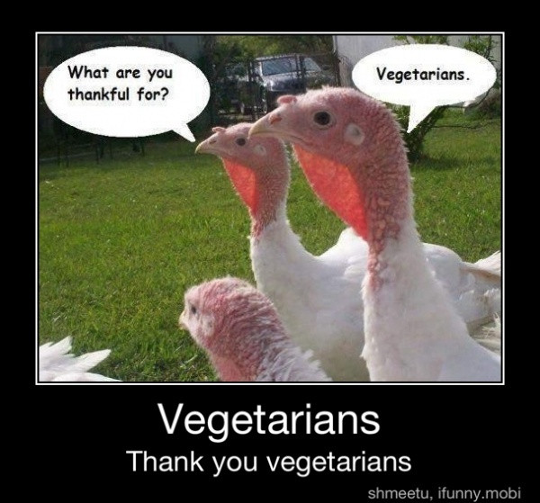 Vegan Thanksgiving Funny
 17 Best images about Nutrition Humor on Pinterest