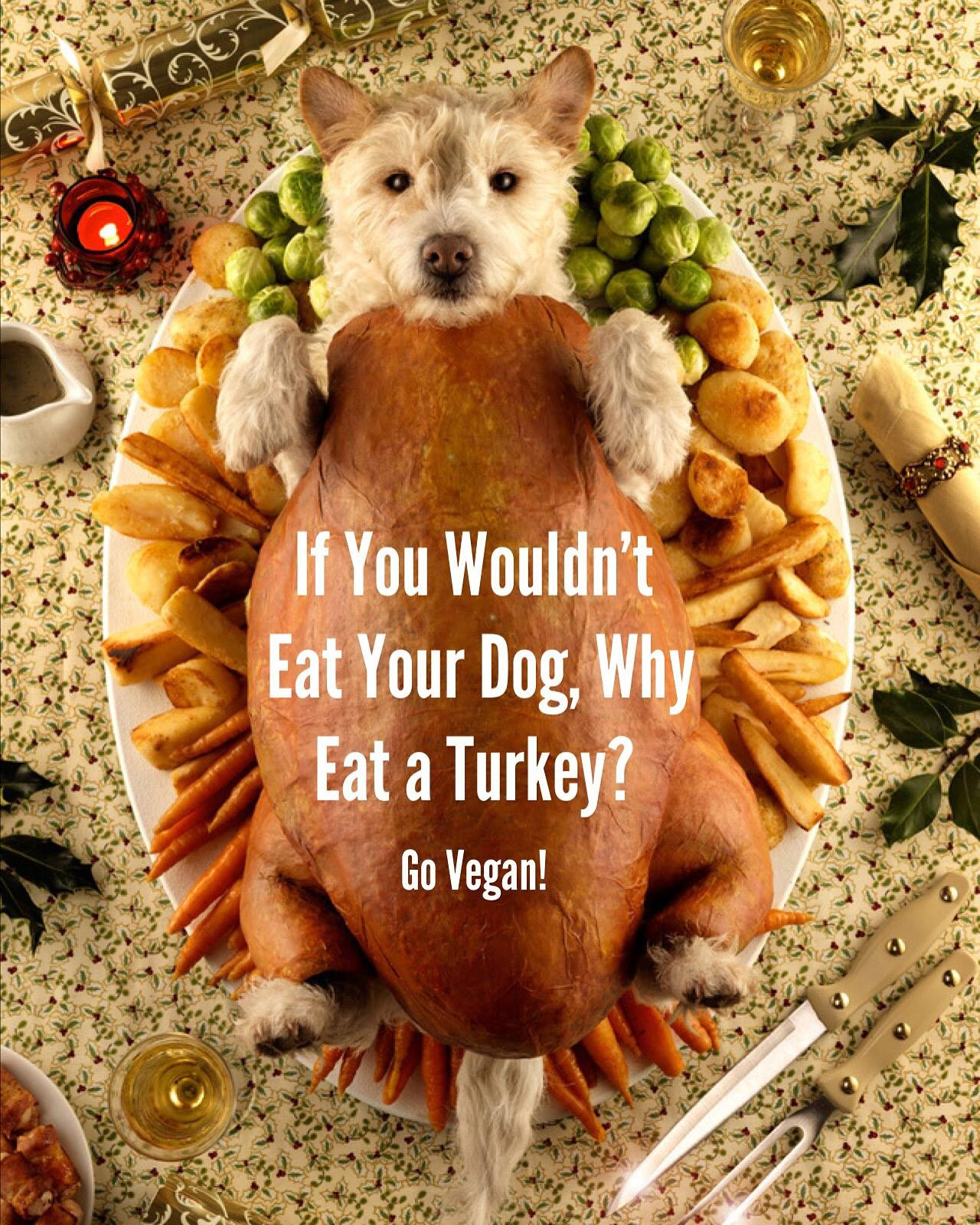 Vegan Thanksgiving Funny
 Happy Thanksgiving – Vegan – Thanksgiving Blessings