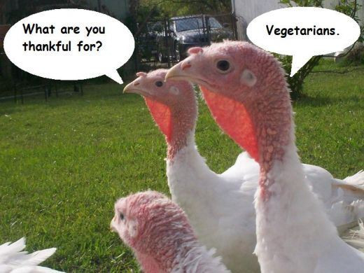 Vegan Thanksgiving Funny
 Funny Thanksgiving Ve arian Way 2