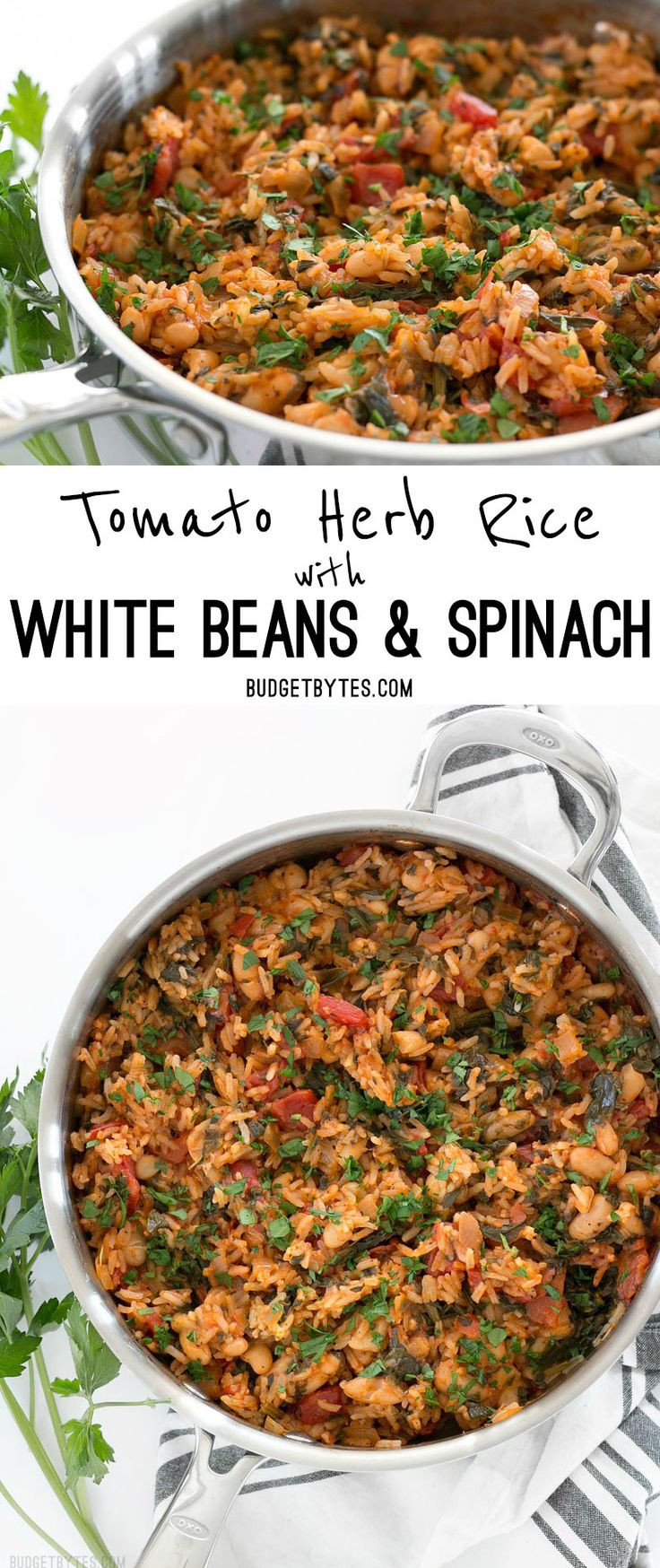 Vegan White Rice Recipes
 Best 25 Ve arian rice dishes ideas on Pinterest