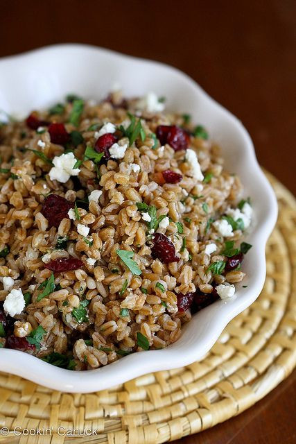 Vegetarian Cranberry Recipes
 Best 25 Cranberry recipes ve arian ideas on Pinterest