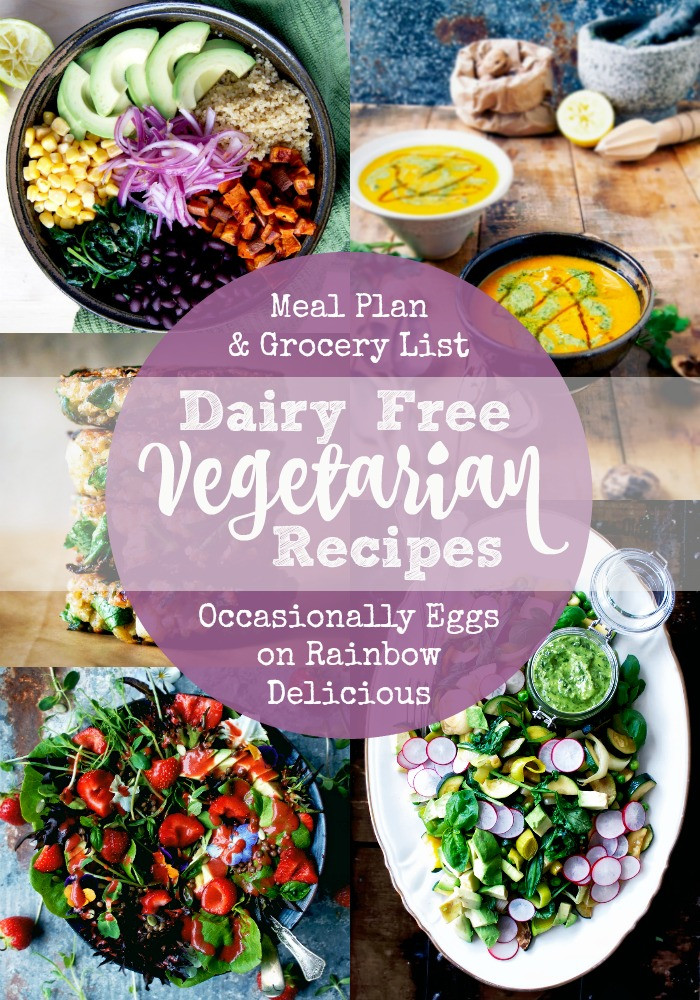 Vegetarian Dairy Free Recipes
 Dairy Free Ve arian Recipes Meal Plan