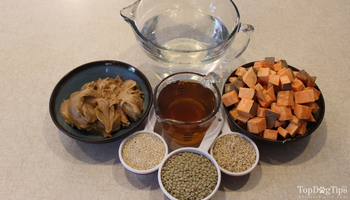 Vegetarian Dog Treat Recipes
 Homemade Vegan Dog Food Recipe healthy and easy to make