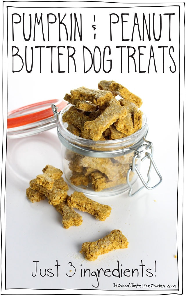 Vegetarian Dog Treat Recipes
 Pumpkin & Peanut Butter Dog Treats just 3 ingre nts