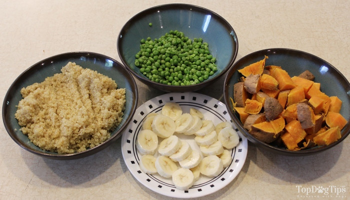 Vegetarian Dog Treat Recipes
 Homemade Ve arian Dog Food Recipe Easy to Make Video