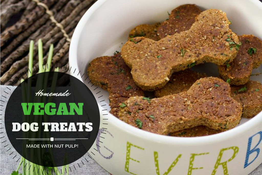 Vegetarian Dog Treat Recipes
 Homemade Vegan Dog Treat Recipe with Nut Pulp