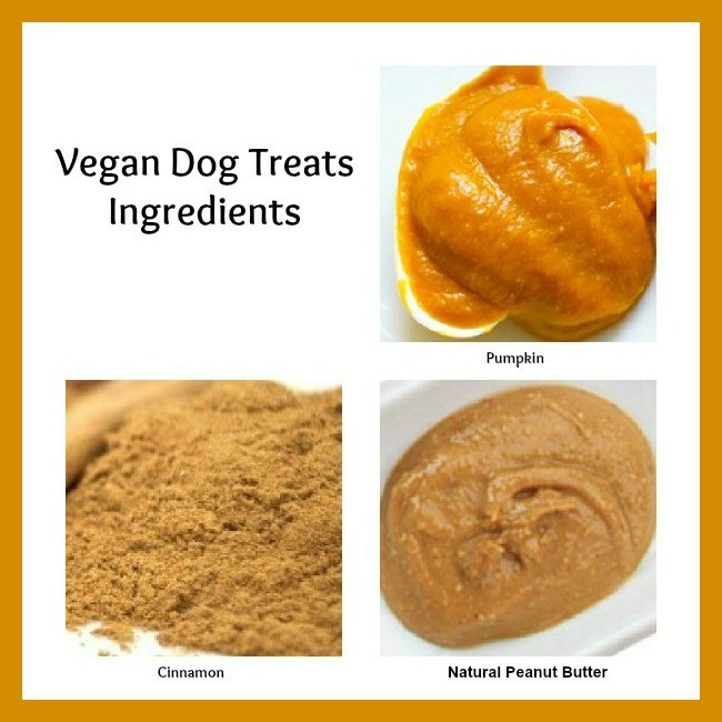 Vegetarian Dog Treat Recipes
 1000 images about Dog Treat Recipes on Pinterest