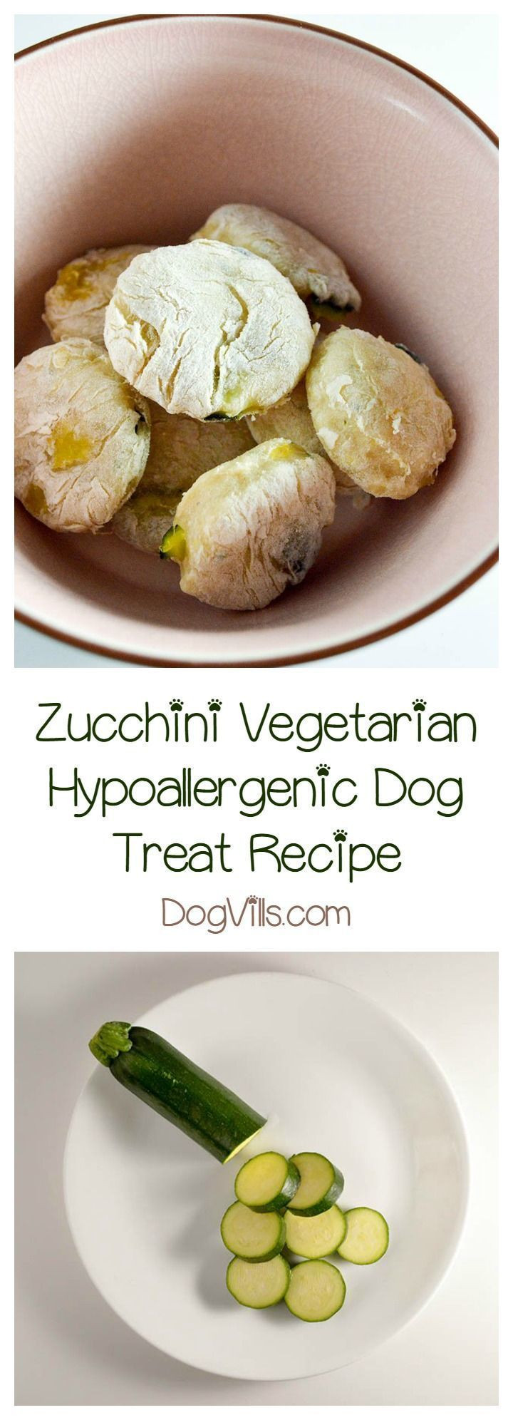 Vegetarian Dog Treat Recipes
 25 best ideas about Hypoallergenic dog treats on