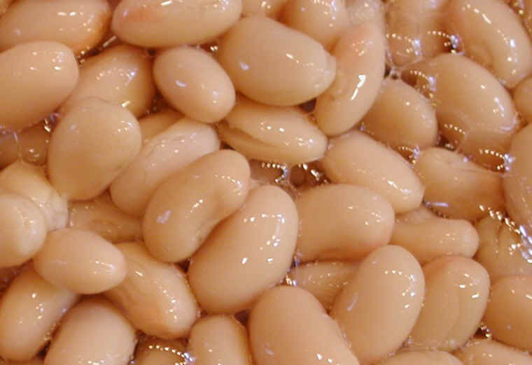 Vegetarian Great Northern Bean Recipes
 Beans Great Northern Canned Ingre nts Descriptions