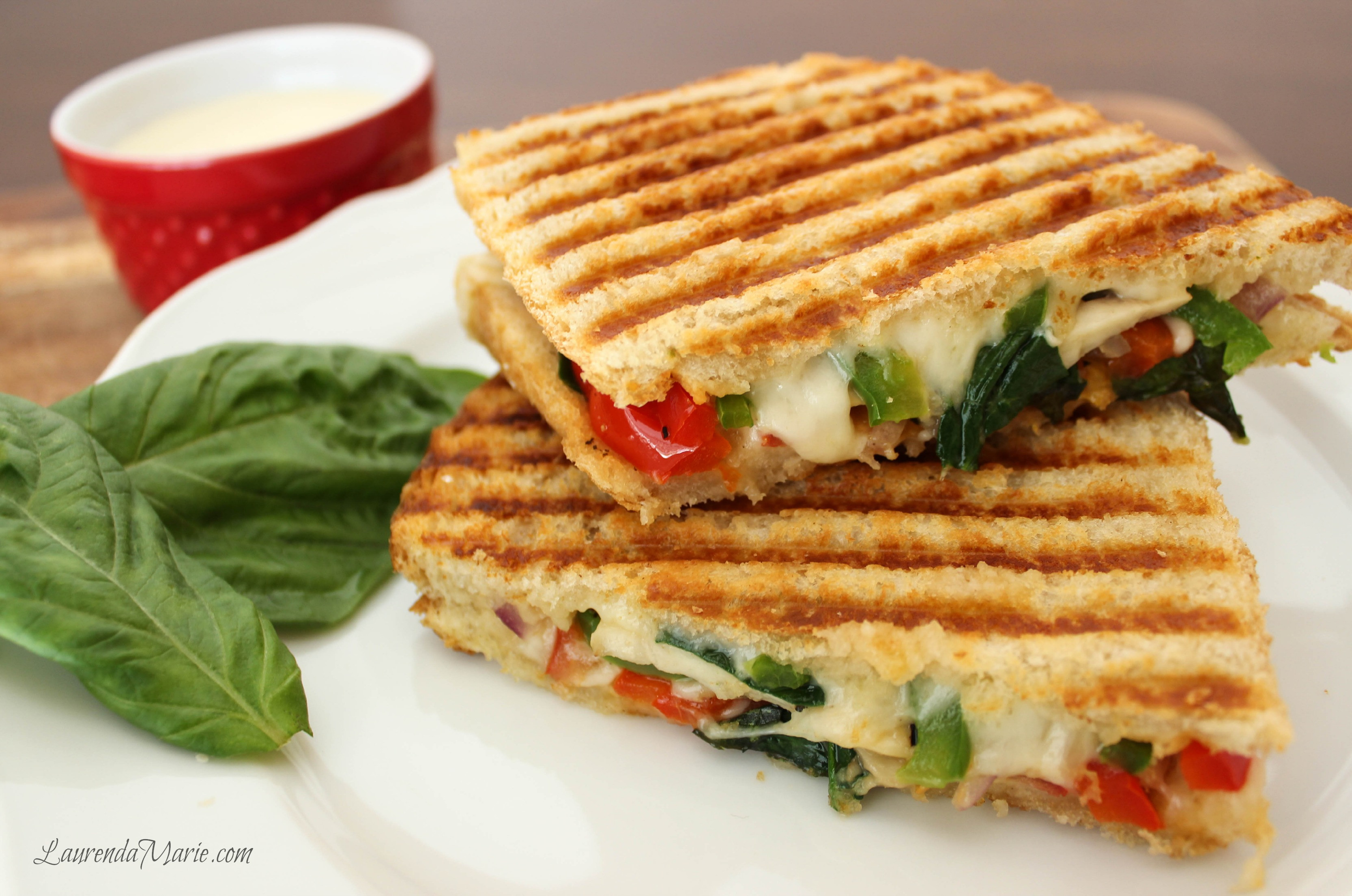 Vegetarian Panini Sandwich
 Veg Panini